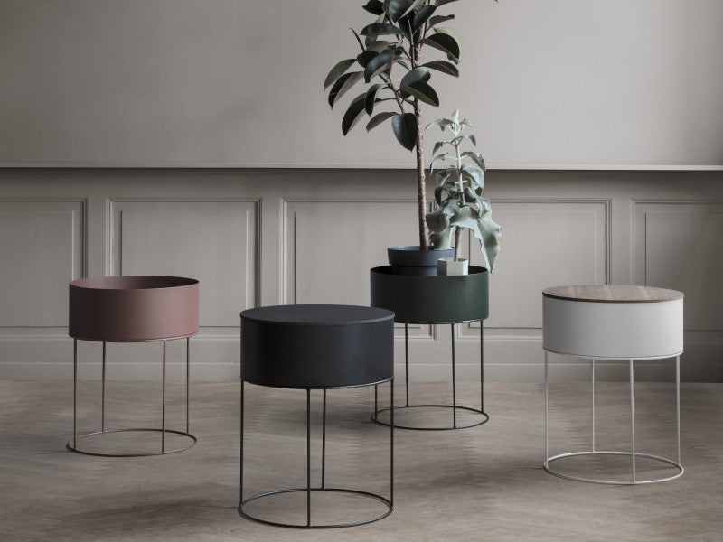 Plant Box Round FERM-3357