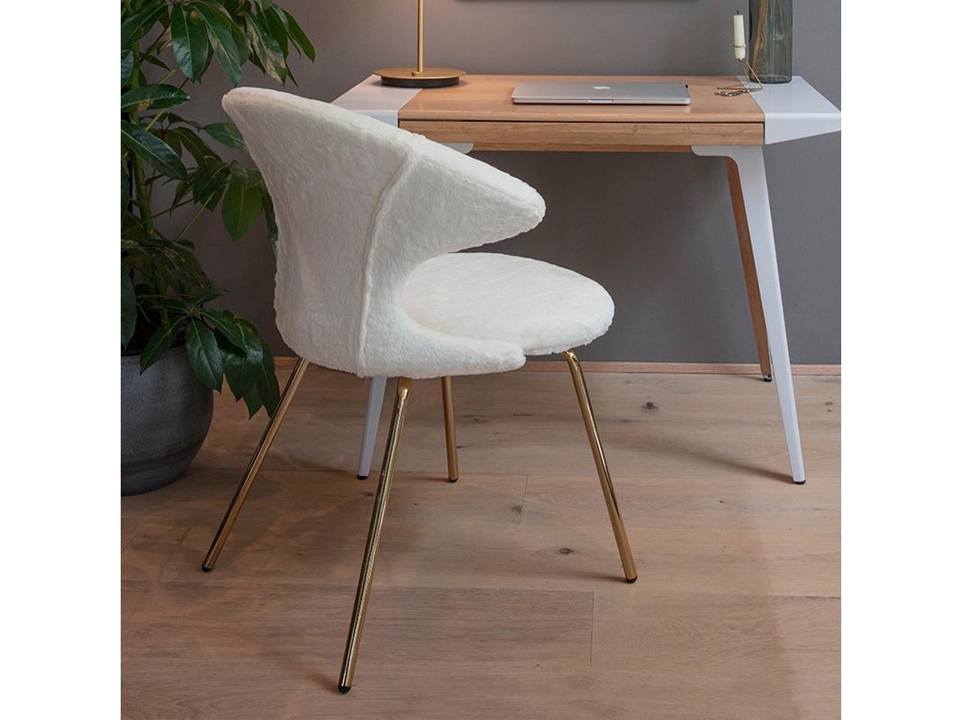 TIME FLIES | CHAIR, TEDDY BEAR