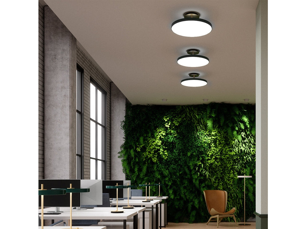 ASTERIA UP | CEILING LAMP